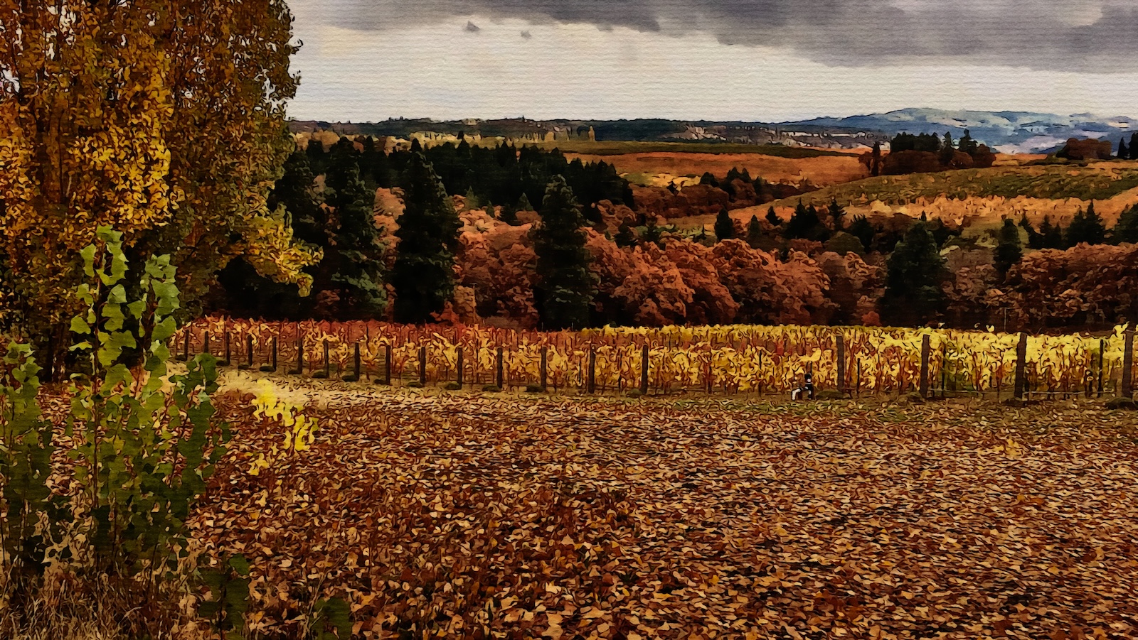 autumn.jpg