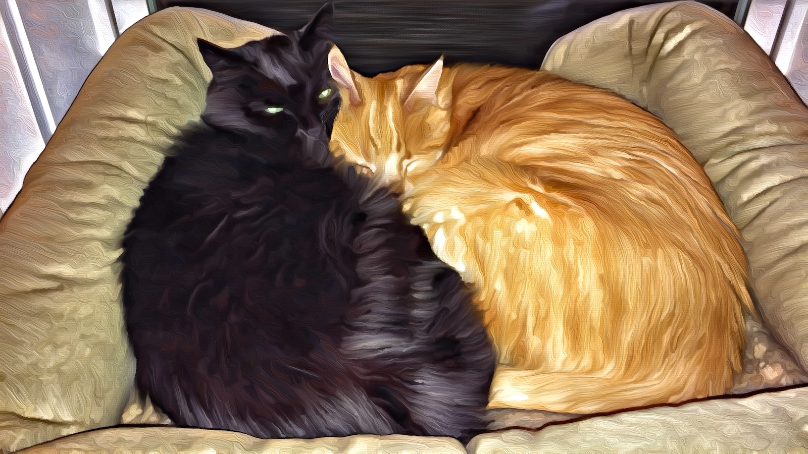 cats.jpg
