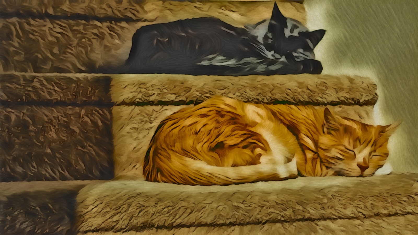 catsOnStairs.jpg