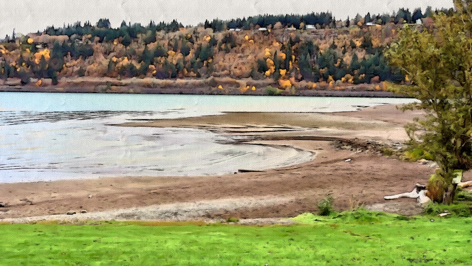 lowRiver.jpg