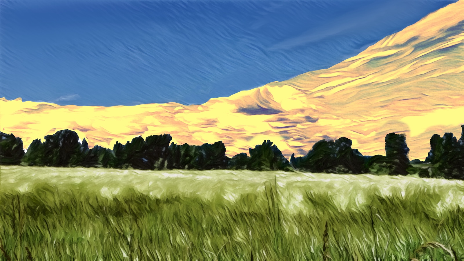 meadow.jpg
