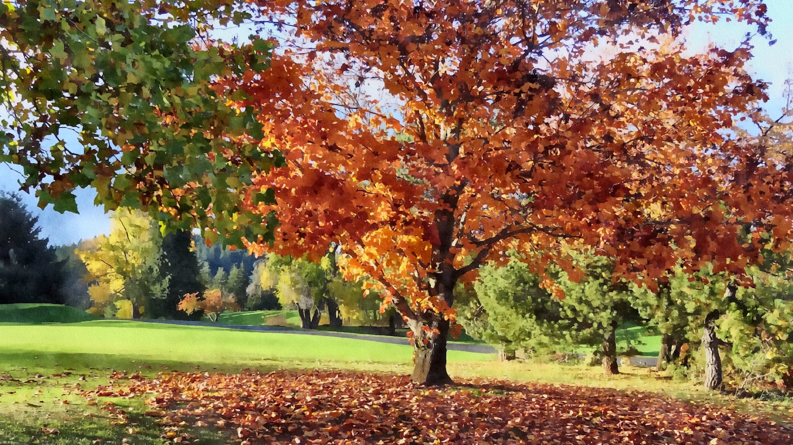 oldCourseOak.jpg