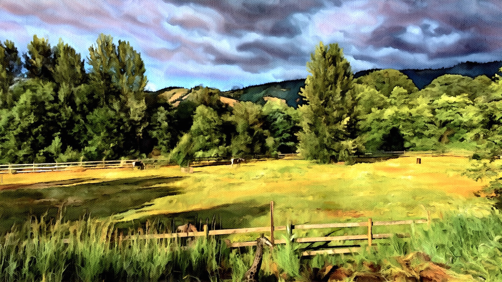 pasture.jpg