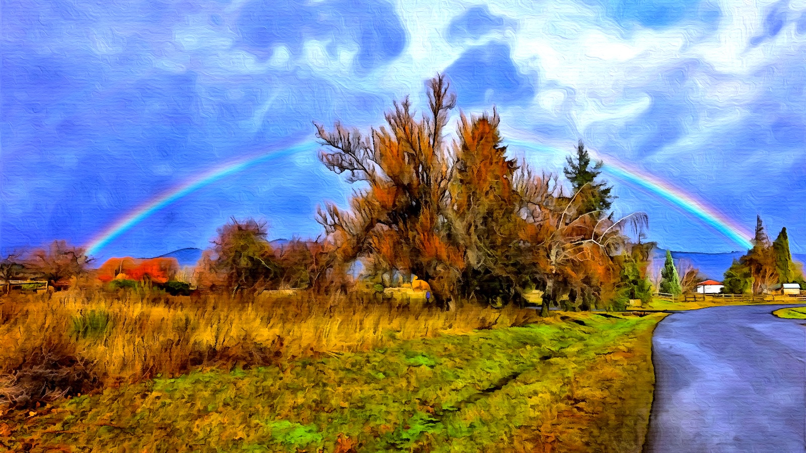 rainbow.jpg