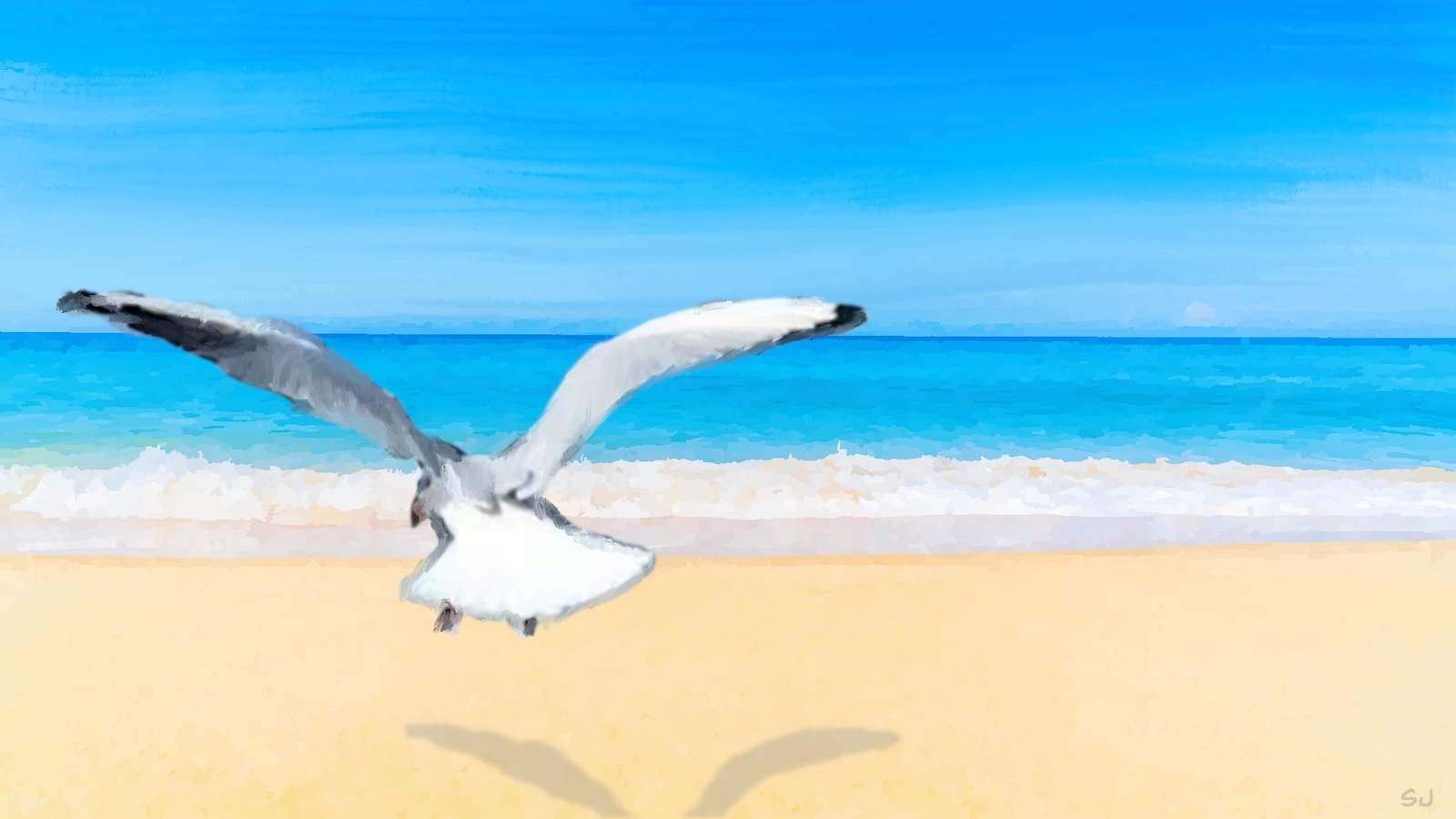 seagull.jpg