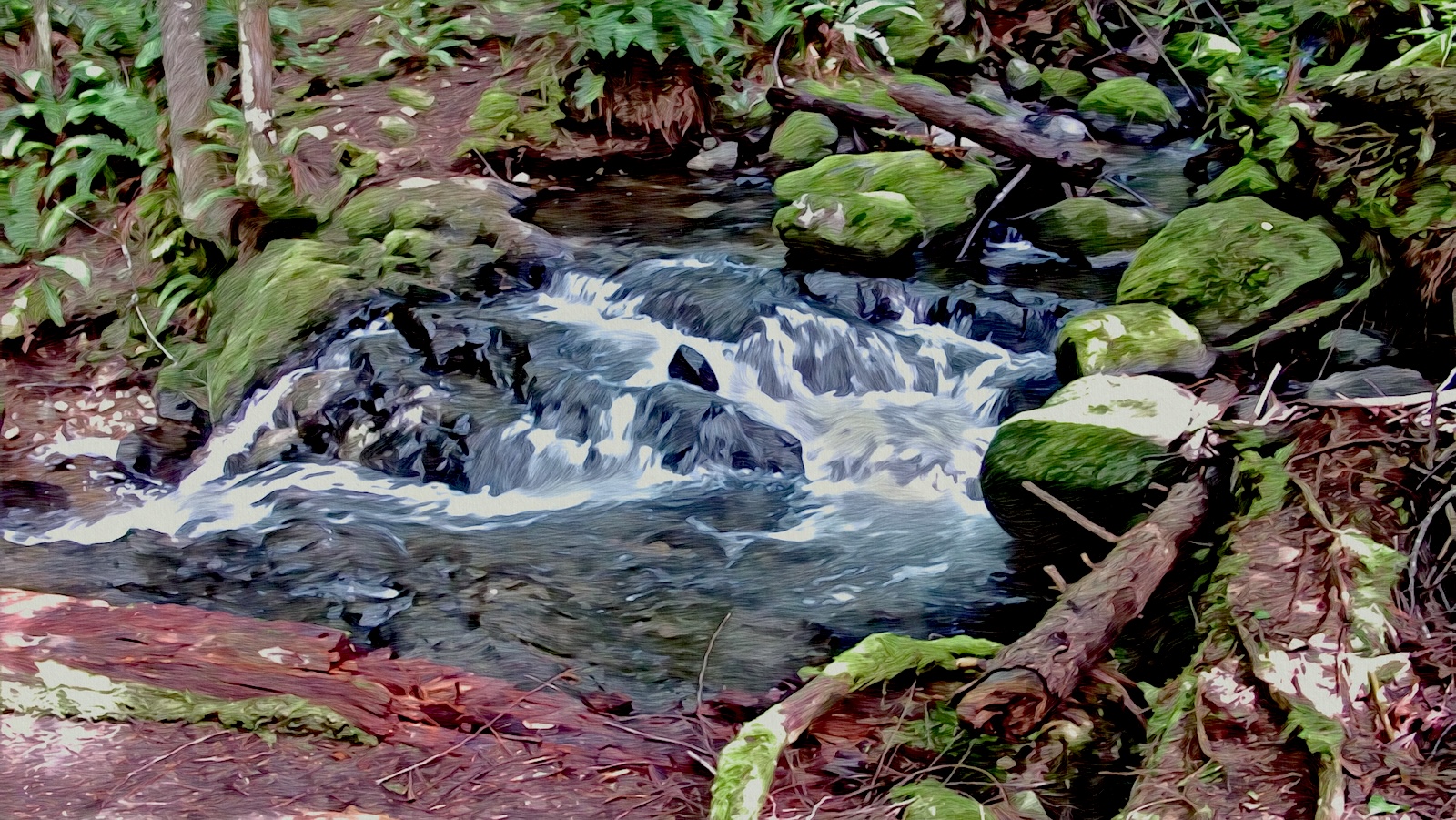 stream.jpg